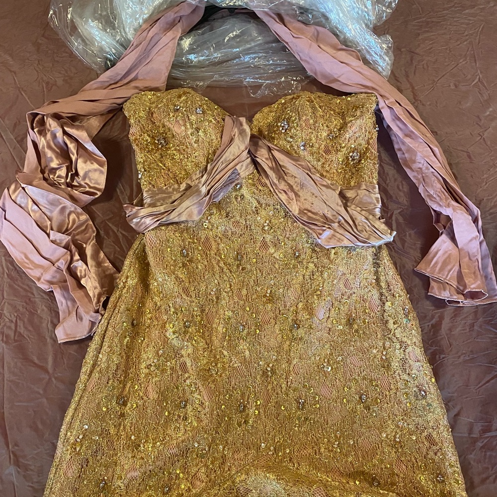 Terani Dress